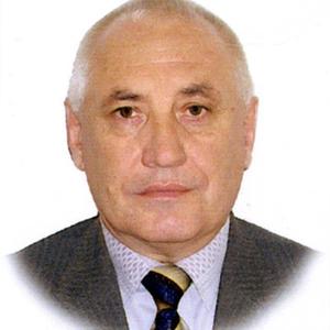 Zeev, 75 лет, Омск