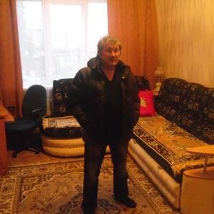 Шамиль, 74 года, Тобольск