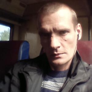 Алекс, 47 лет, Иваново