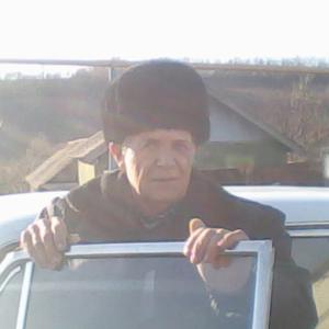 Анатолий, 72 года, Белгород