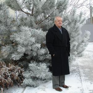 Борис, 77 лет, Волгоград