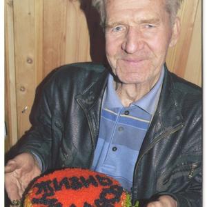 Сергей, 86 лет, Ивангород