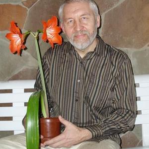 Олег, 68 лет, Балашов