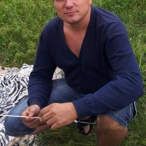 Алекс Стинг, 46 лет, Новомосковск