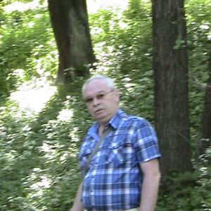Анатолий, 74 года, Калининград