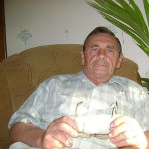 Владимир, 73 года, Новосибирск