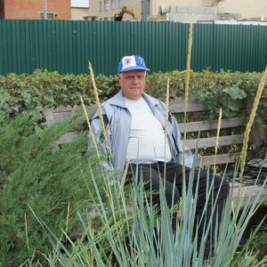 Пётр, 78 лет, Челябинск