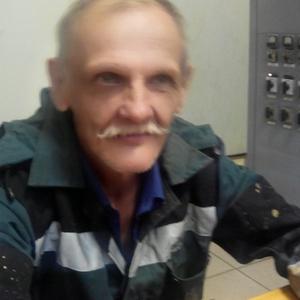 Сергей Казанник, 69 лет, Томск