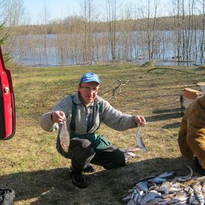 Александр, 50 лет, Соликамск