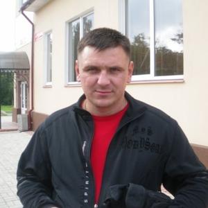 Сергей, 45 лет, Губкин