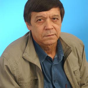 Владимир, 71 год, Астрахань