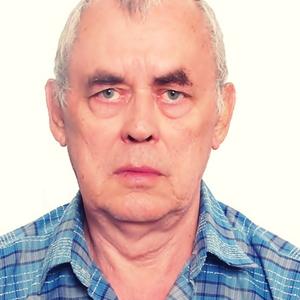 Николай, 73 года, Калининград