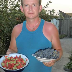 Игорь, 53 года, Димитровград