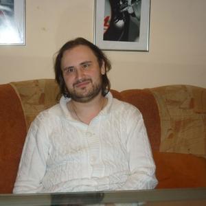 Илья, 42 года, Ярославль