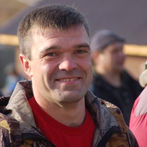 Владимир, 43 года, Бийск