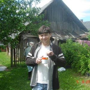 Александр, 50 лет, Псков