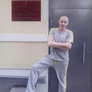 Парни в Электрогорске: Дмитрий, 39 - ищет девушку из Электрогорска