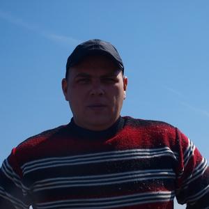 Василий, 40 лет, Череповец