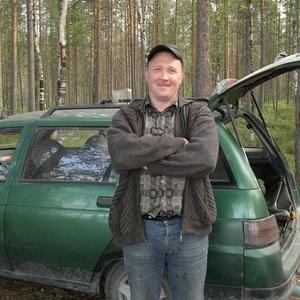 Андрей, 47 лет, Ковдор