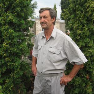 Владимир, 71 год, Орел