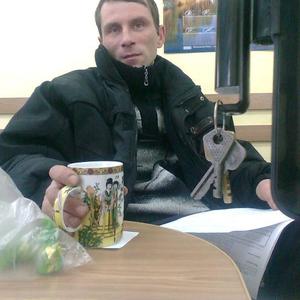 Алексей, 43 года, Витебск