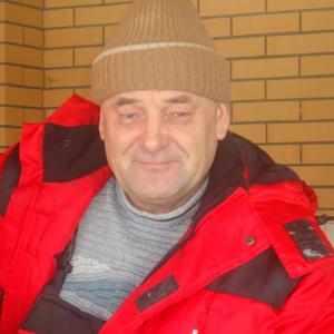 Сергей, 66 лет, Бийск