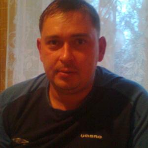 Сергей, 44 года, Лысьва