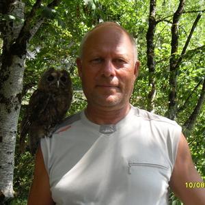 Ринат, 63 года, Хабаровск