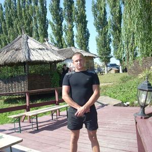 Юрий, 44 года, Азов