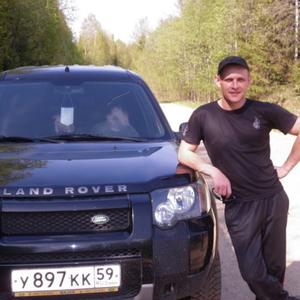 Сергей, 43 года, Горнозаводск