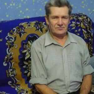 Николай, 75 лет, Новосибирск