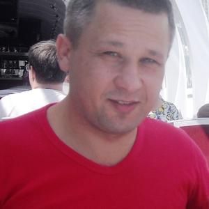 Андрей, 50 лет, Коломна
