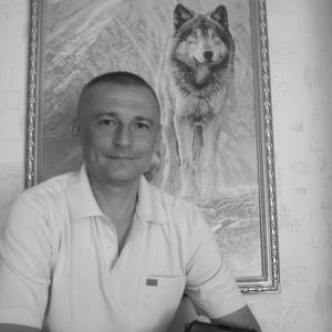 Wolf, 50 лет, Ставрополь