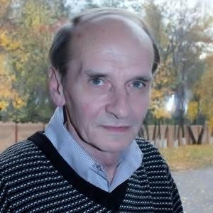 Вячеслав, 70 лет, Электросталь