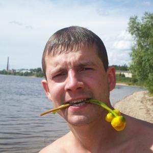 Парни в Электросталь: Дмитрий, 41 - ищет девушку из Электросталь