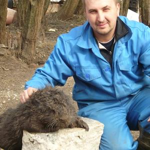 Василий, 43 года, Калининград