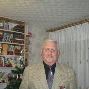 Стас, 71 год, Луга